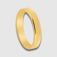 Infinitude Ring