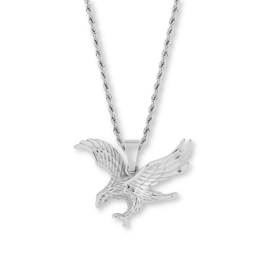 EAGLE EYE VIEW PENDANT