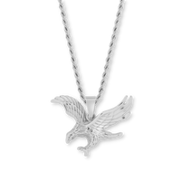 EAGLE EYE VIEW PENDANT